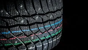 Viatti Bosco Nordico – продуманное строение и повышенная надежность  Viatti Bosco Nordico – продуманное строение и повышенная надежность